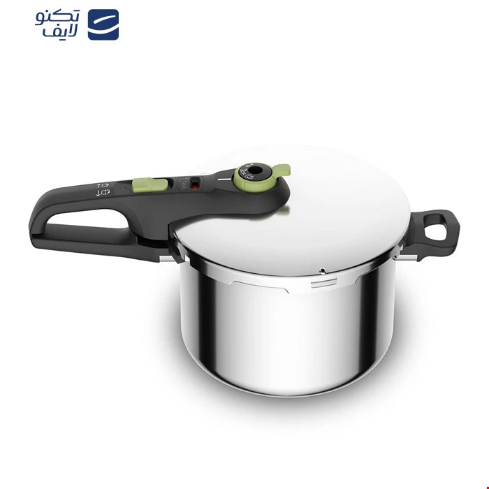زودپز تفال مدل P2584402
