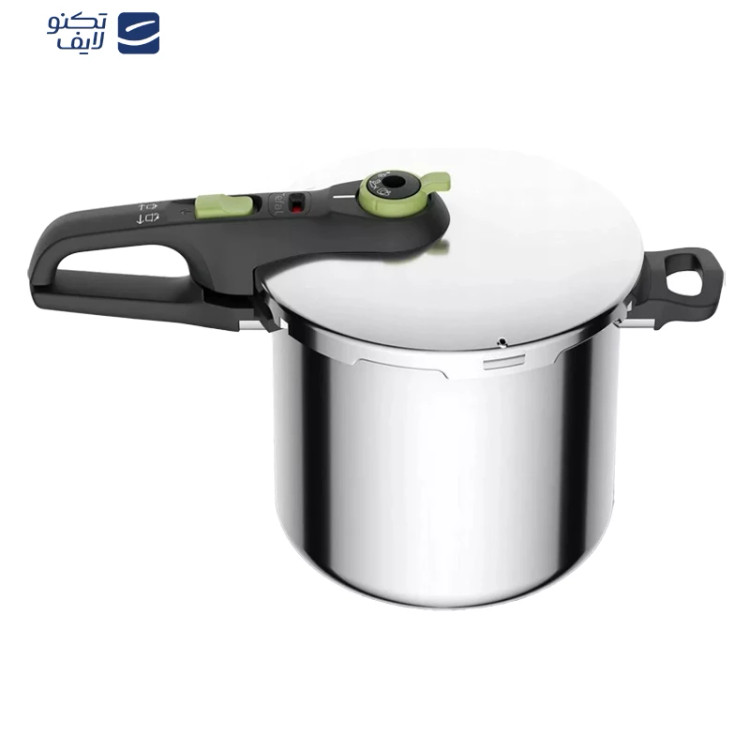 زودپز تفال مدل P2584402